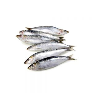 Sardina Española (Envasada x 500 GRS )