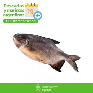 Pacú Berardi Entero Pieza de 1500 a 2 kg
