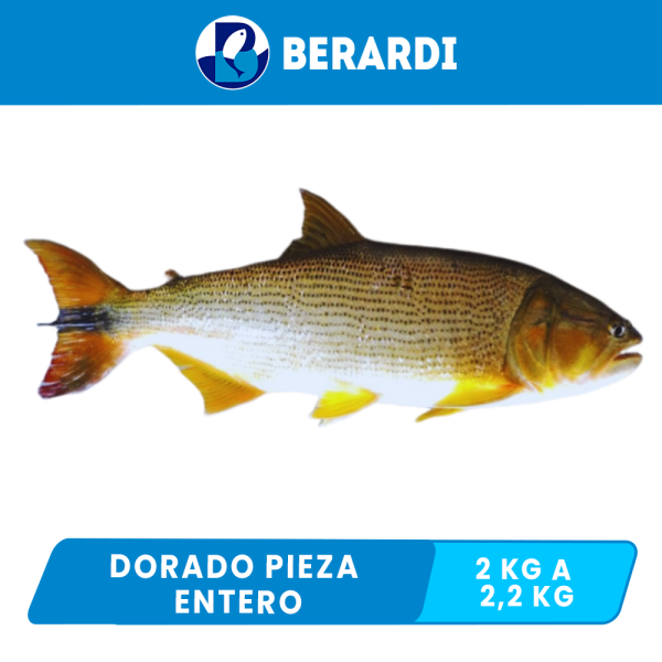Dorado Berardi entero Pieza x 1.500 kg a 2  kg