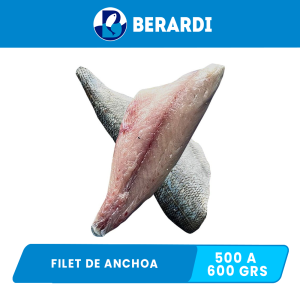 Filet de Anchoa Berardi 500 a 600 Grs