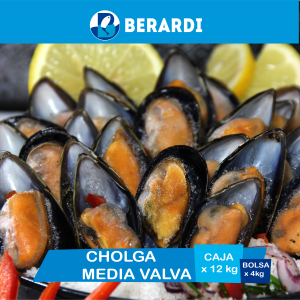 Cholga media valva nacional