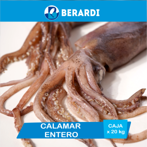 Calamar Entero